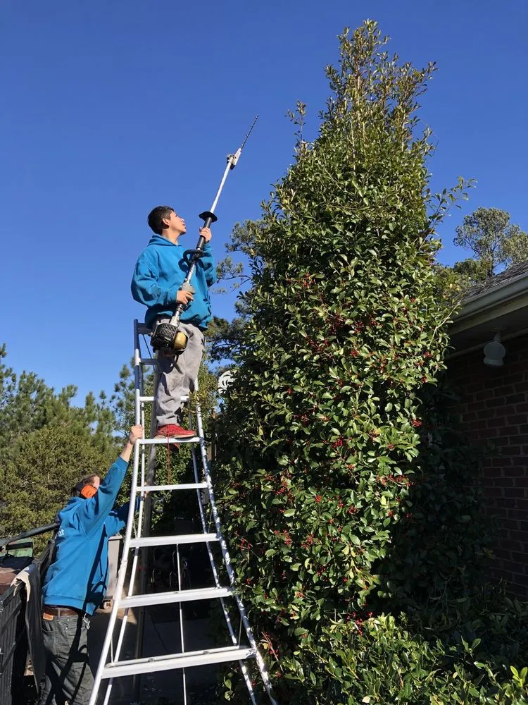 Trusted lawn mowing service in Raleigh, NC by Health Turf Management Lawn Care