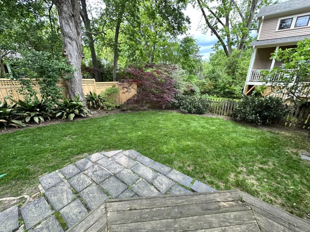 Professional yard cleanup service for residential properties in Raleigh, NC by Health Turf Management Lawn Care