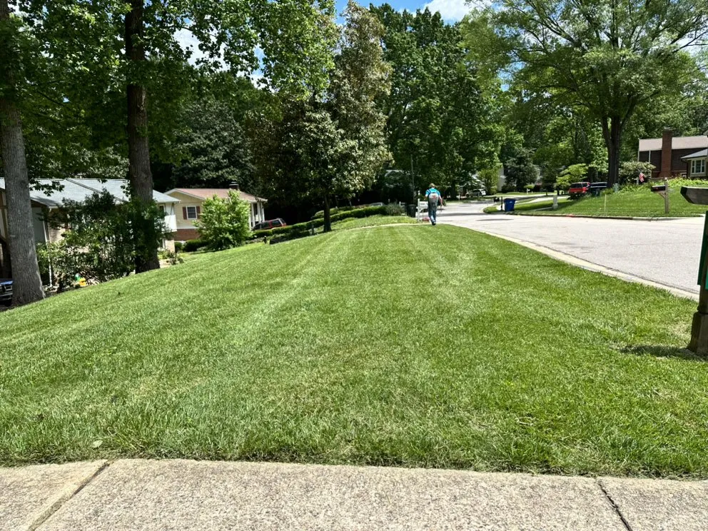 Custom landscaping services for beautiful yards in Raleigh, NC by Health Turf Management Lawn Care