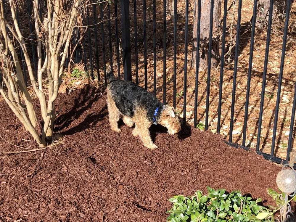 Affordable outdoor landscaping experts serving Raleigh, NC - Health Turf Management Lawn Care