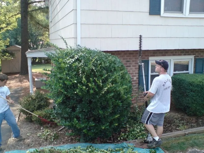 Local landscape design with custom design in Raleigh, NC by Health Turf Management Lawn Care