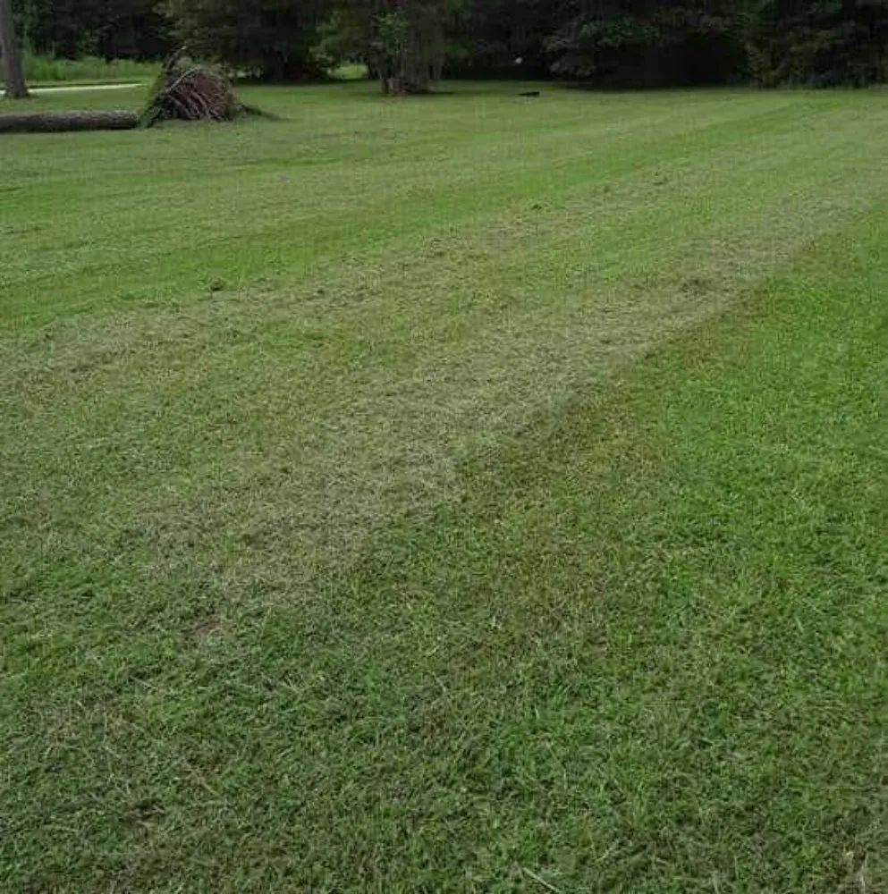 Affordable landscape design for year-round maintenance across Greenville, FL - Healthier Lawn Care