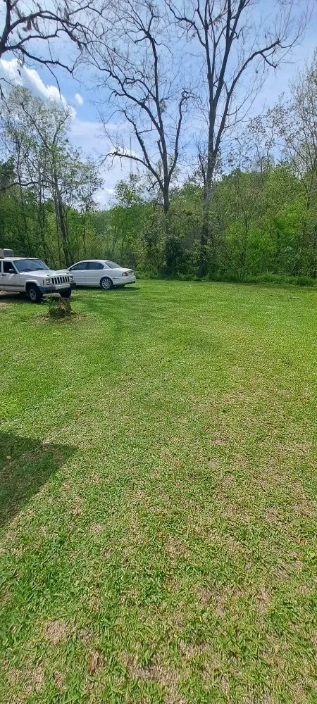 Reliable yard cleanup service for homes in Greenville, FL by Healthier Lawn Care