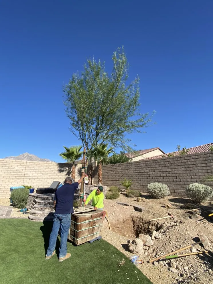 Trusted lawn care service for outdoor upgrades across Las Vegas, NV - Healthy Green Landscape