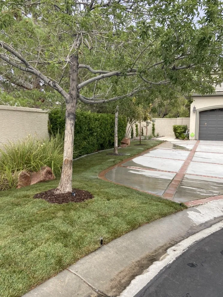 Professional residential landscaping in Las Vegas, NV by Healthy Green Landscape