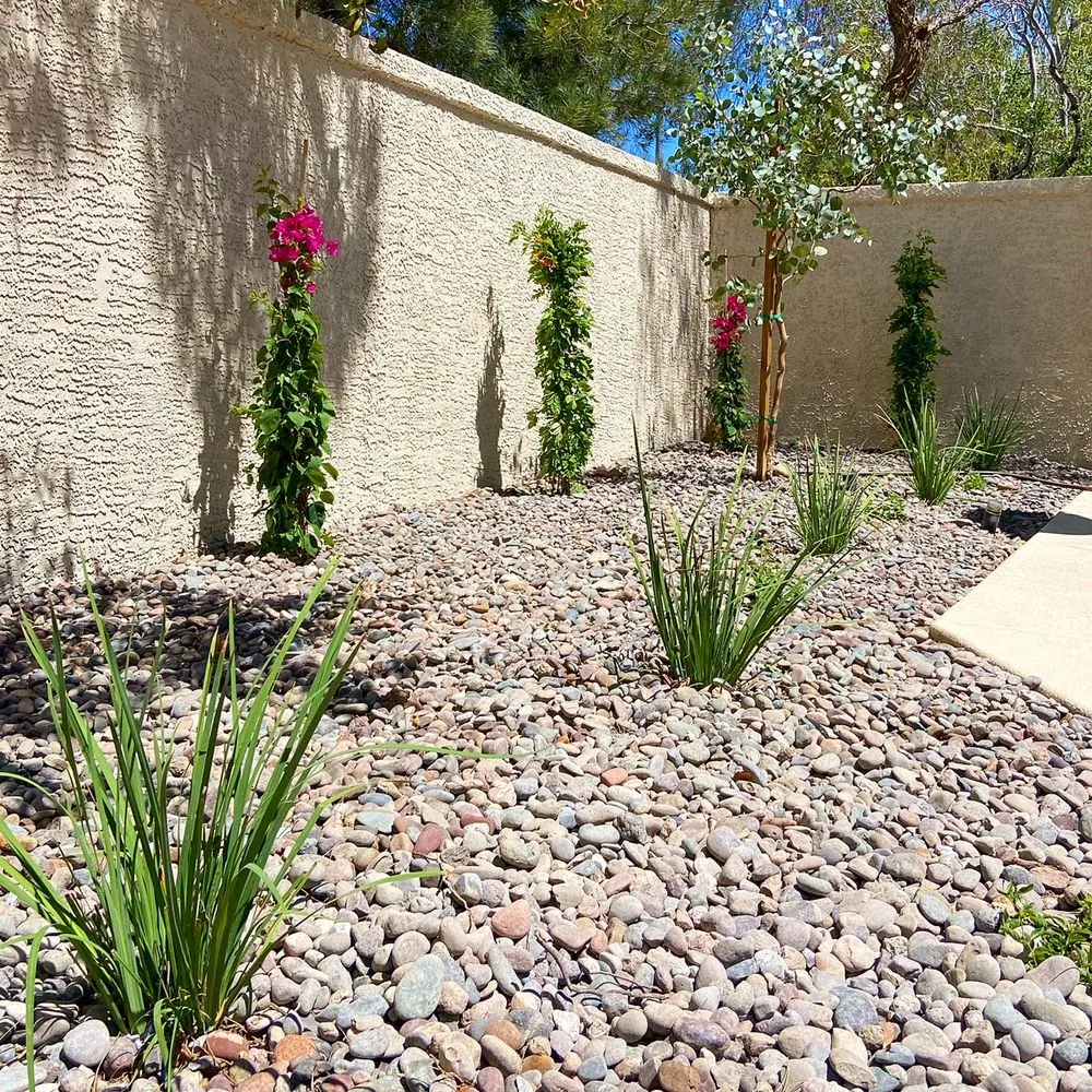 Professional lawn mowing service with custom design in Las Vegas, NV by Healthy Green Landscape