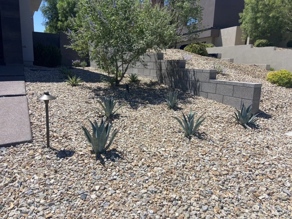 Top-rated lawn care service in Las Vegas, NV - Healthy Green Landscape