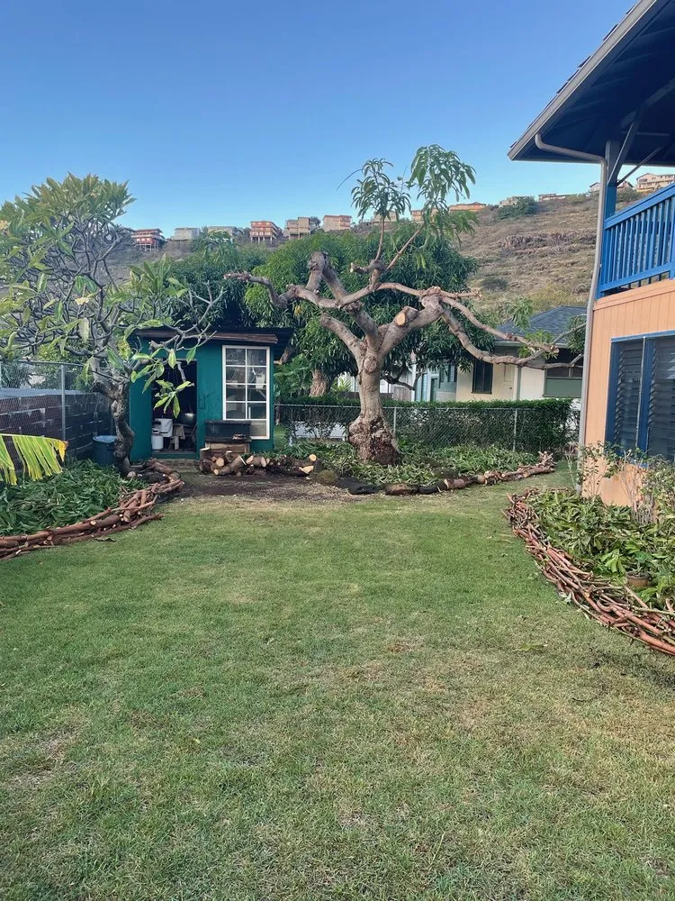 Top-rated lawn care service in Waimanalo, HI by Healthy Habitats