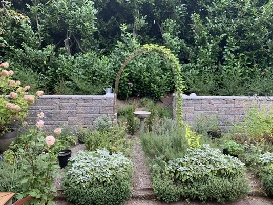 Healthy Homestead Design Logo