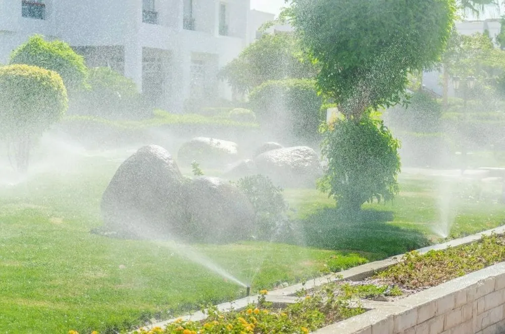 Top-rated yard cleanup service for homes in Piperton, TN by Healthy Lawn Irrigation
