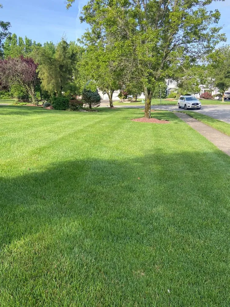 Reliable yard cleanup service in Monroe Township, NJ by Healthy Lawn