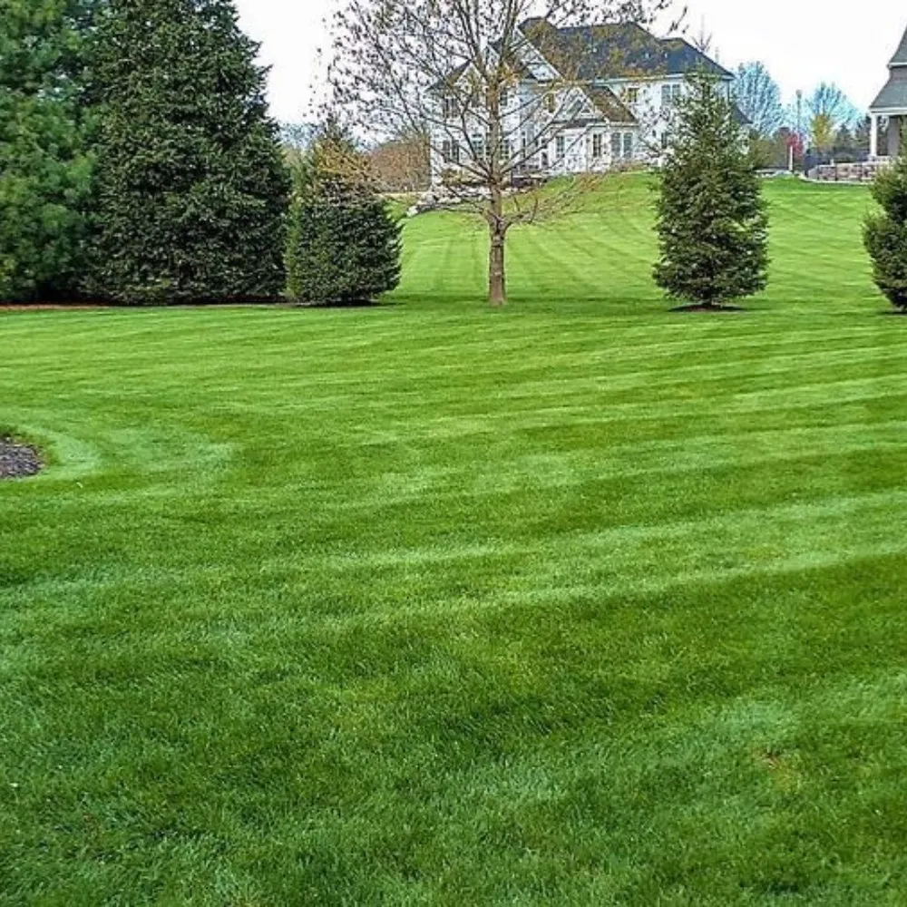 Custom lawn mowing service experts serving Monroe Township, NJ - Healthy Lawn