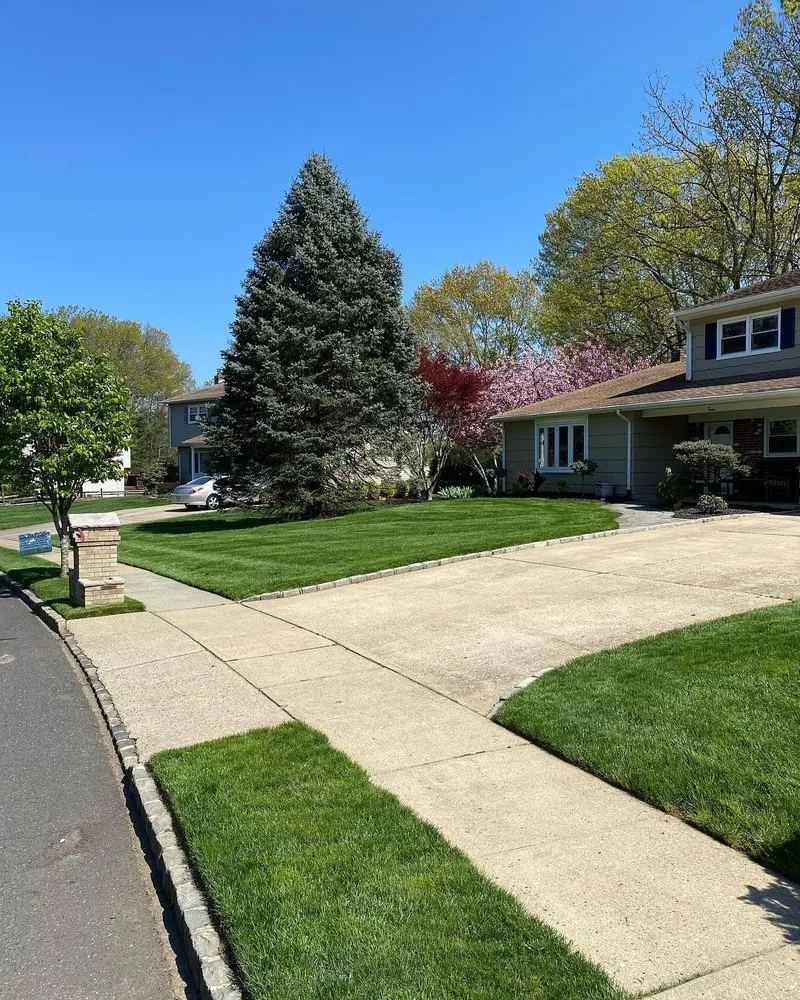 Professional landscape design in Monroe Township, NJ - Healthy Lawn