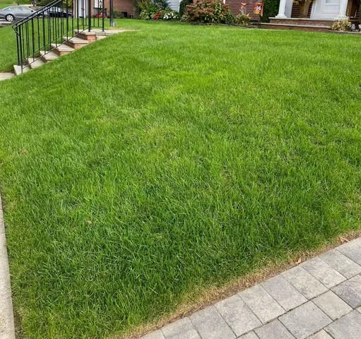 Local landscape design in Monroe Township, NJ - Healthy Lawn