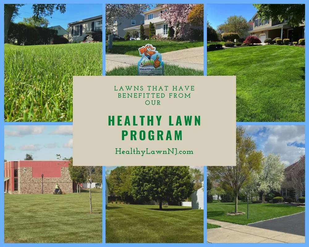 Affordable landscaping services for year-round maintenance across Monroe Township, NJ - Healthy Lawn