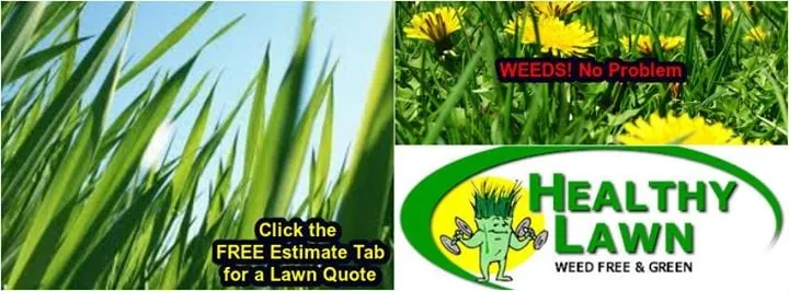 Professional yard cleanup service near you across Youngstown, NY - Healthy Lawn