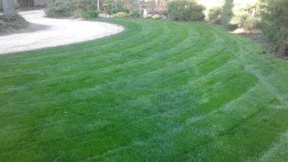 Affordable landscaping services in Mount Sinai, NY by Healthy Lawns Plus