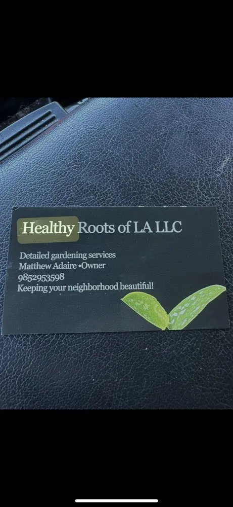 Affordable lawn care service for outdoor upgrades in Lacombe, LA by Healthy Roots