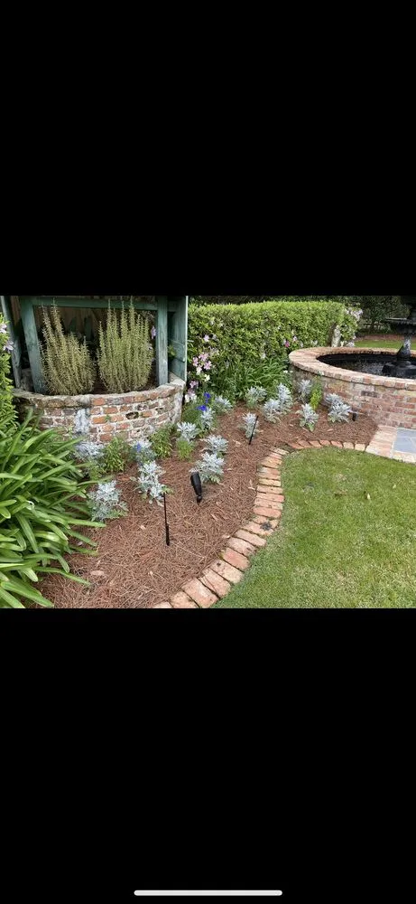 Top-rated yard cleanup service experts serving Lacombe, LA - Healthy Roots