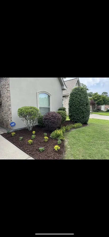 Top-rated landscape installation for homes in Lacombe, LA by Healthy Roots