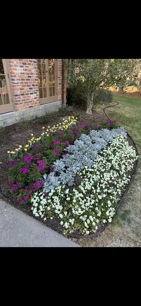 Trusted residential landscaping near you in Lacombe, LA by Healthy Roots
