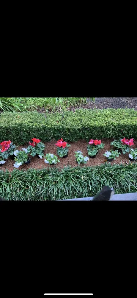 Local yard maintenance for beautiful yards in Lacombe, LA by Healthy Roots