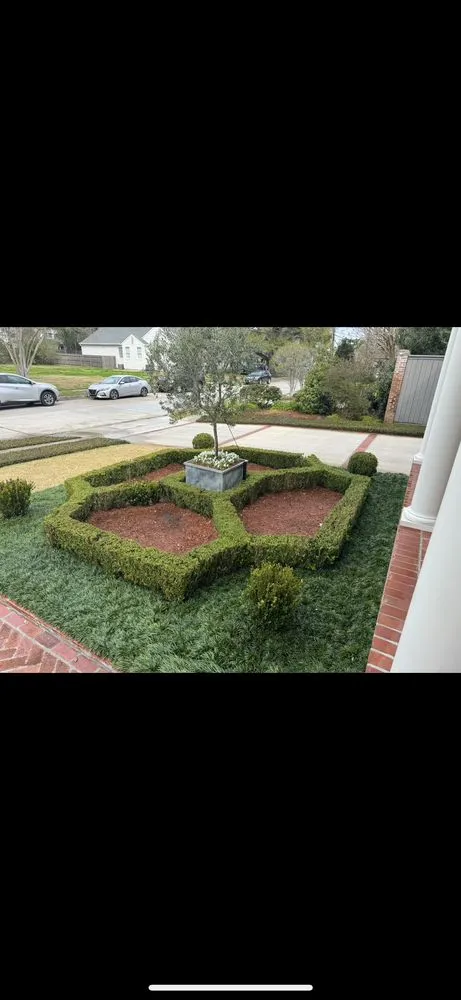 Expert yard cleanup service for year-round maintenance in Lacombe, LA by Healthy Roots