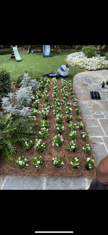 Custom landscape design in Lacombe, LA - Healthy Roots