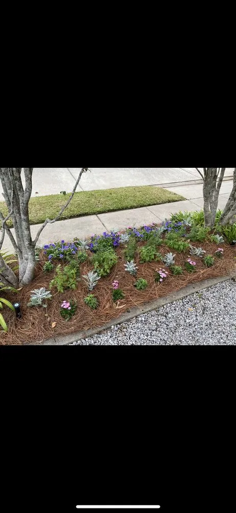 Local landscaping services in Lacombe, LA - Healthy Roots