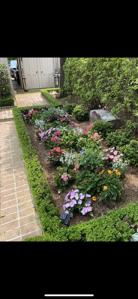 Top-rated landscape design for year-round maintenance in Lacombe, LA by Healthy Roots