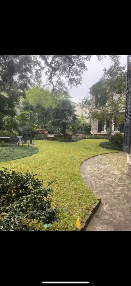 Affordable landscaping services for year-round maintenance across Lacombe, LA - Healthy Roots