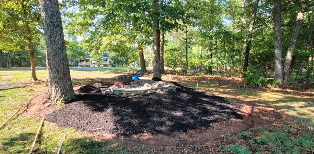 Local yard cleanup service in Mineral, VA - Healthy Roots Landscaping