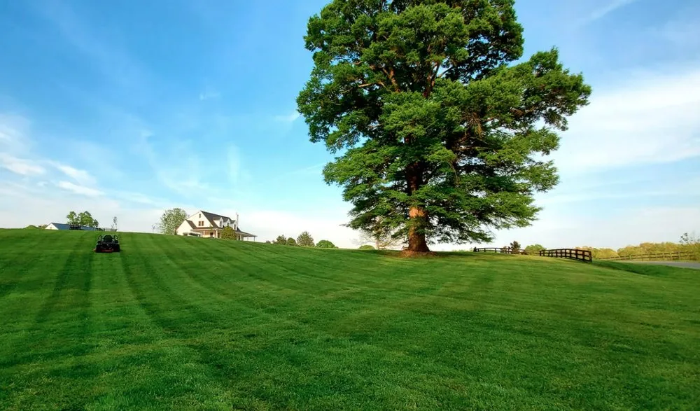 Top-rated yard maintenance experts serving Mineral, VA - Healthy Roots Landscaping
