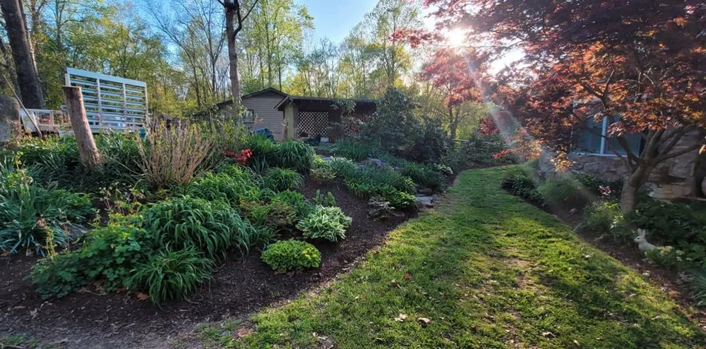 Trusted landscape design in Mineral, VA by Healthy Roots Landscaping