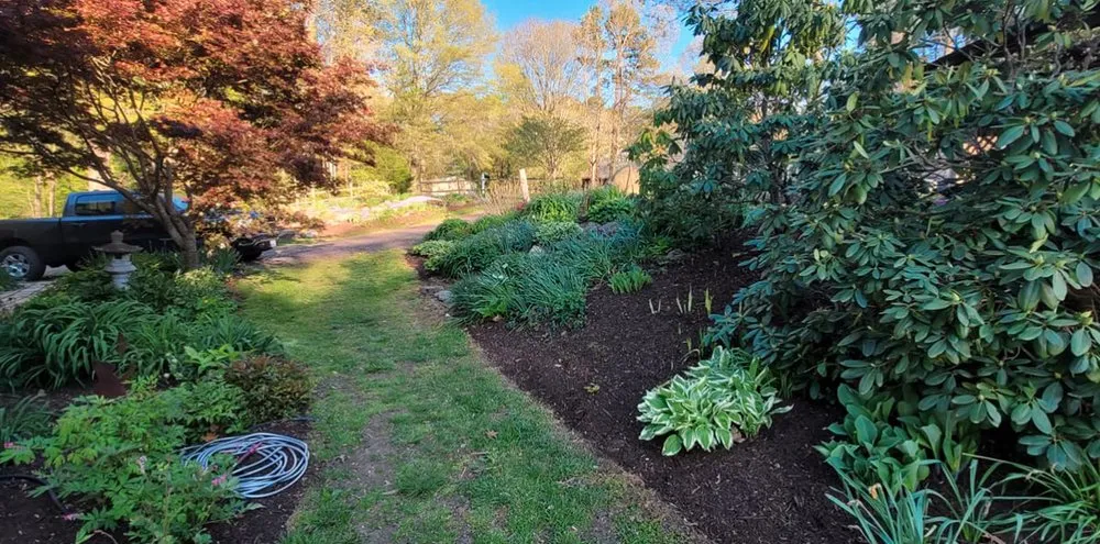 Local yard maintenance with custom design across Mineral, VA - Healthy Roots Landscaping