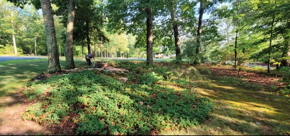 Affordable residential landscaping in Mineral, VA - Healthy Roots Landscaping