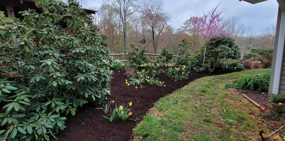 Professional yard maintenance in Mineral, VA by Healthy Roots Landscaping