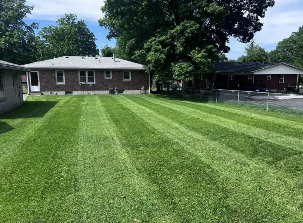 Professional yard cleanup service in Louisville, KY - Healthy Roots Lawn Care