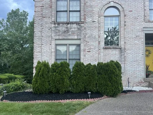 Healthy Roots Lawn Care Logo