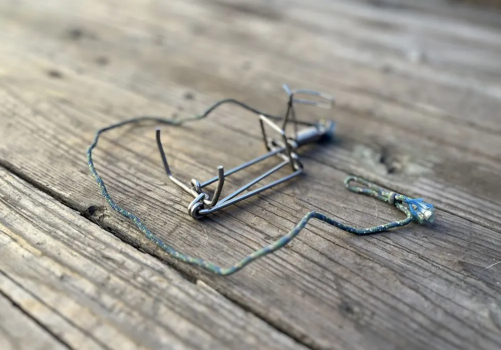 Local landscape installation for year-round maintenance in Santa Cruz, CA by Healthy Roots