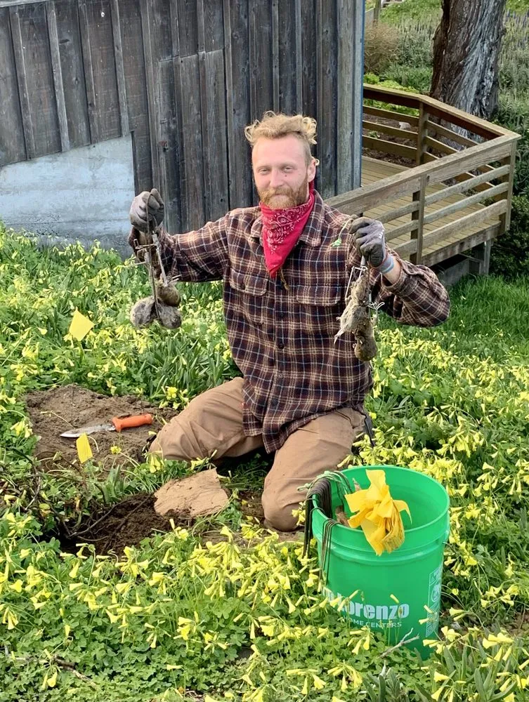 Custom residential landscaping in Santa Cruz, CA - Healthy Roots