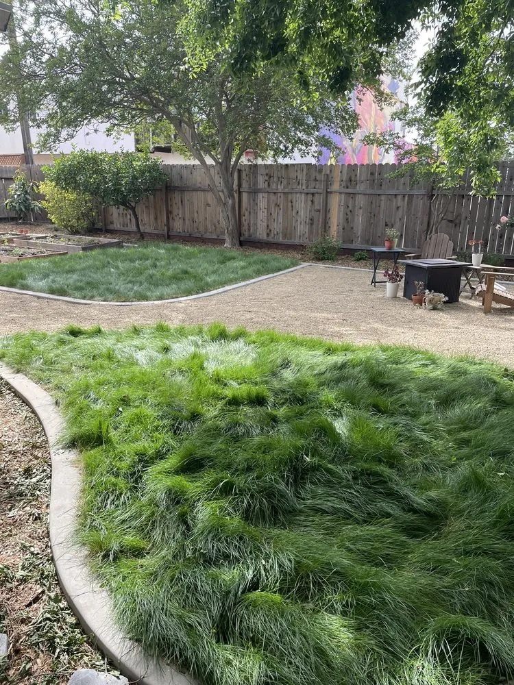 Trusted landscape design in Sacramento, CA - Healthy Turf Landscape Management