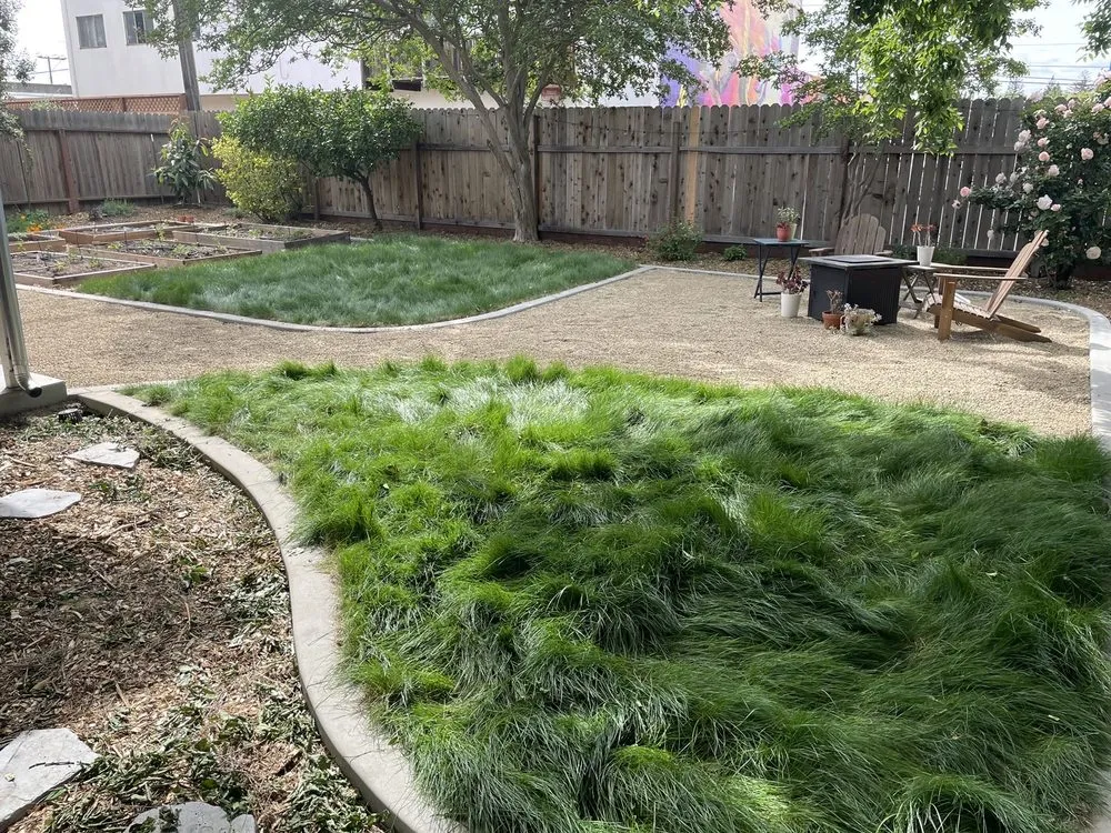 Affordable landscaping services experts serving Sacramento, CA - Healthy Turf Landscape Management
