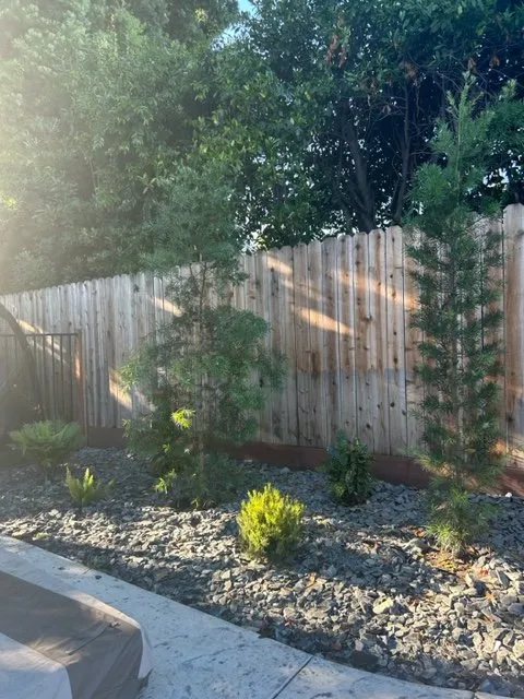 Expert residential landscaping in Sacramento, CA - Healthy Turf Landscape Management