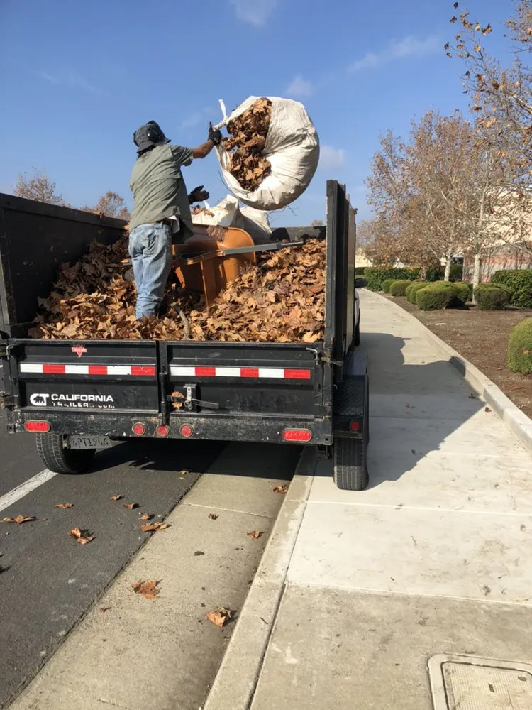 Custom garden landscaping experts serving Sacramento, CA - Healthy Turf Landscape Management