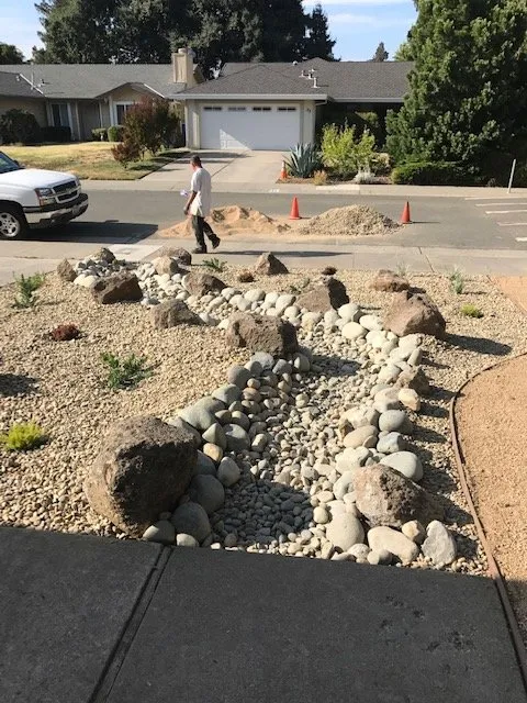 Local yard maintenance experts serving Sacramento, CA - Healthy Turf Landscape Management