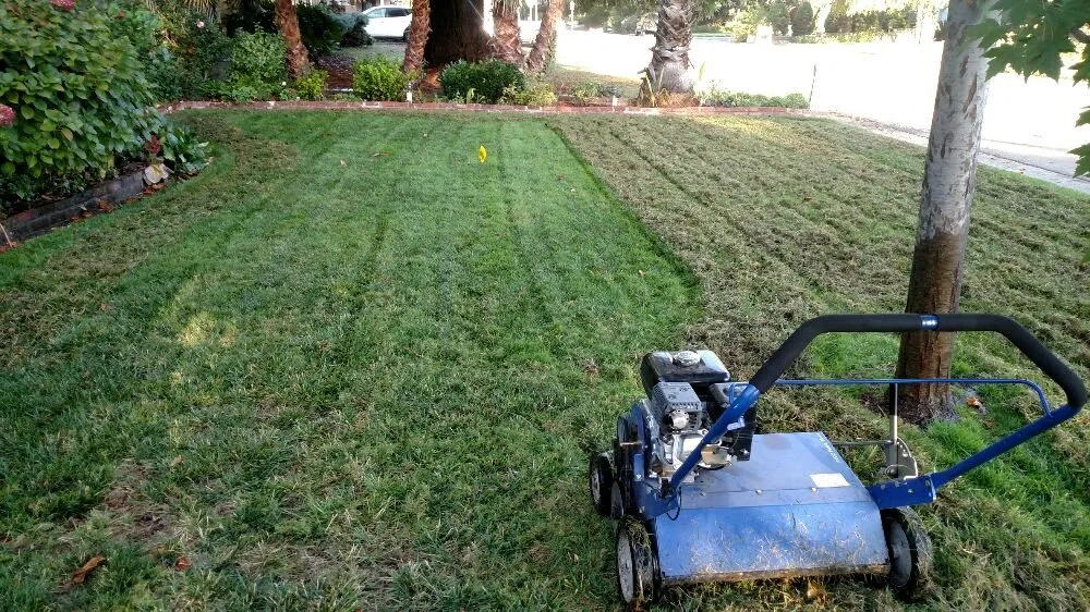 Trusted landscaping services for year-round maintenance across Sacramento, CA - Healthy Turf Landscape Management