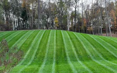 Local residential landscaping with custom design in Farmington, NY by Healy's Lawn and Landscape