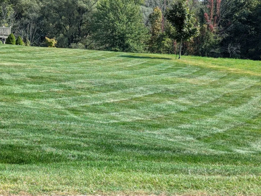 Expert residential landscaping in Farmington, NY - Healy's Lawn and Landscape