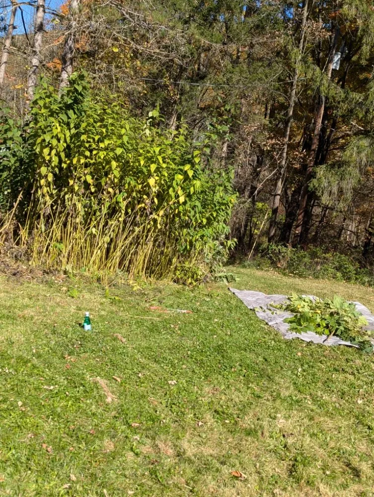 Top-rated yard cleanup service for homes in Farmington, NY by Healy's Lawn and Landscape